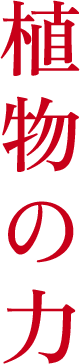 植物の力
