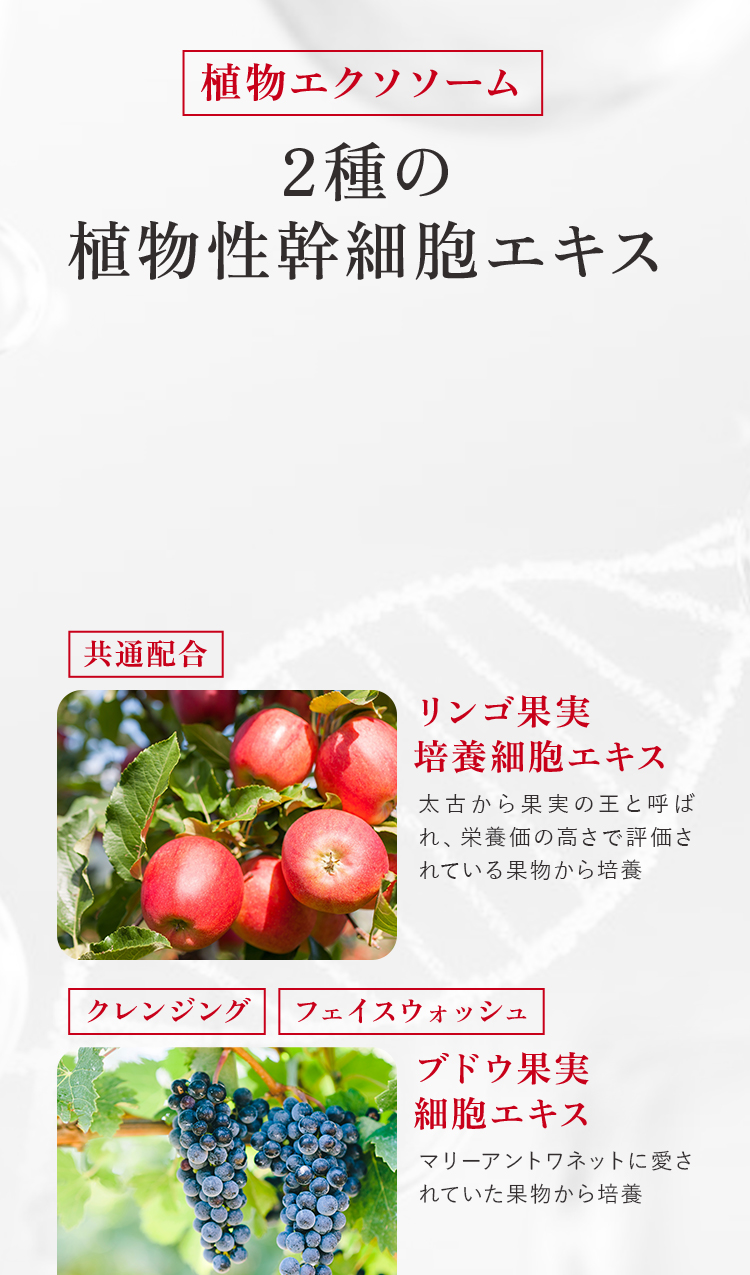 植物エクソソーム