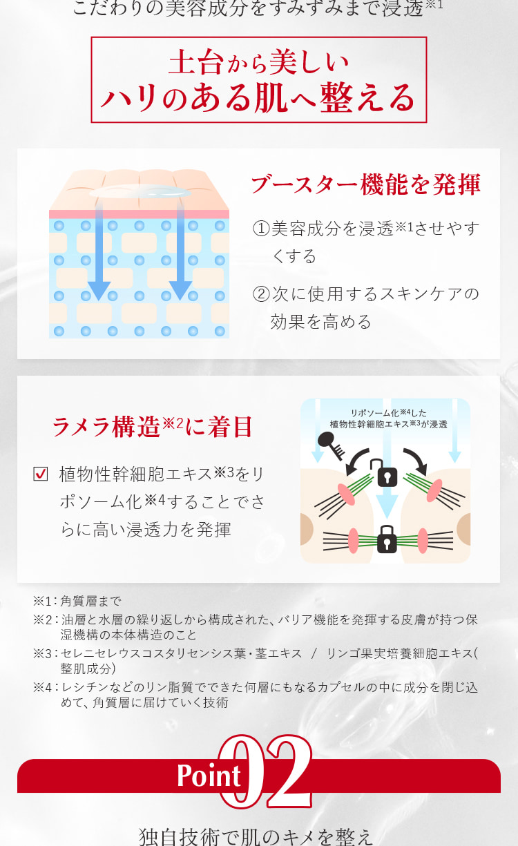 土台から美しいハリのある肌へ整える
