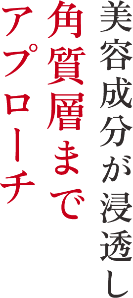 美容成分が浸透し角質層までアプローチ