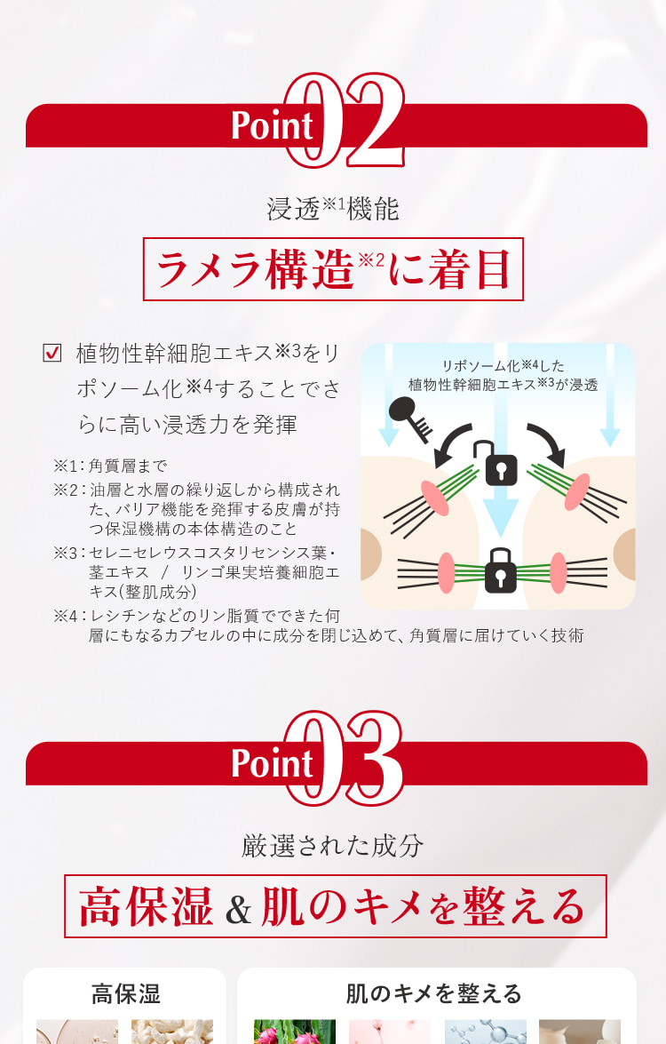 ラメラ構造に着目