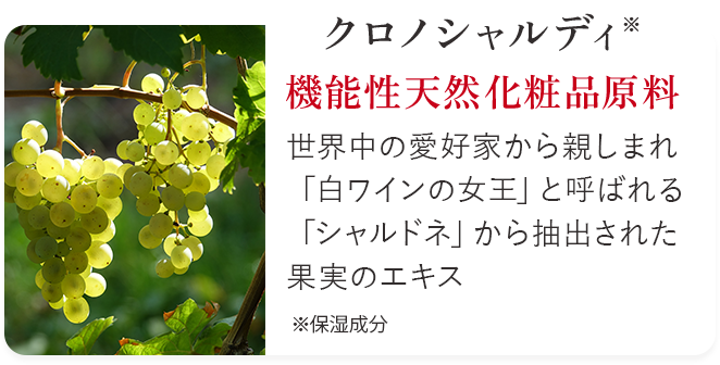 クロノシャルディ