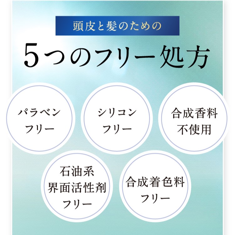【おひとり様1点限り】オアシスリポソームプレミアムヘアケアセット　お試しパウチ２個づつセット メール便配送・日時指定不可