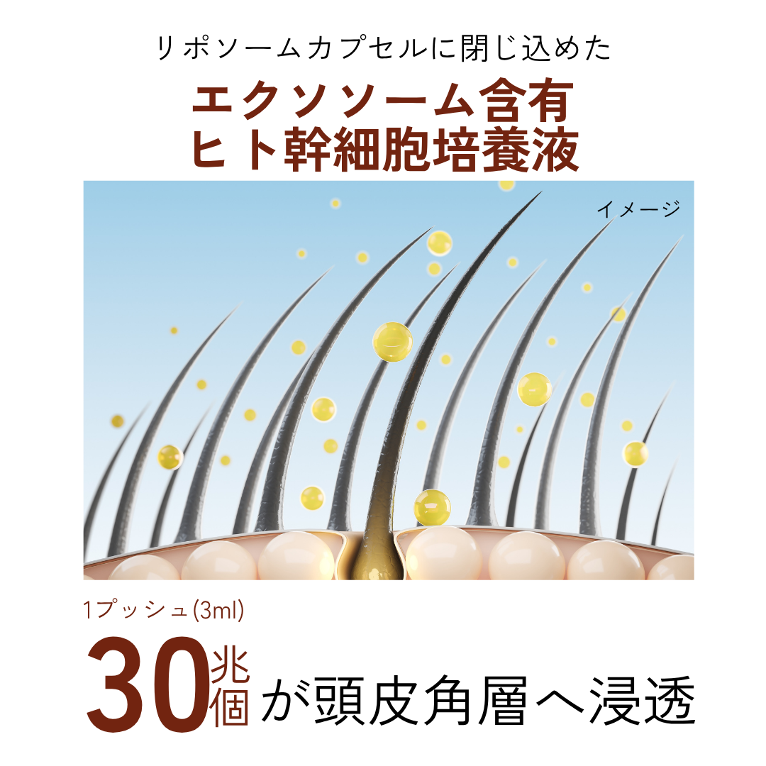 商品詳細/オーセルオンラインストア