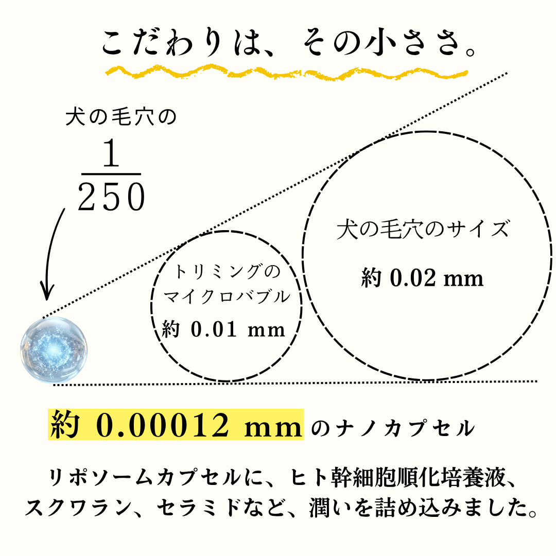 リポドッグ オールインワンシャンプー 250ml