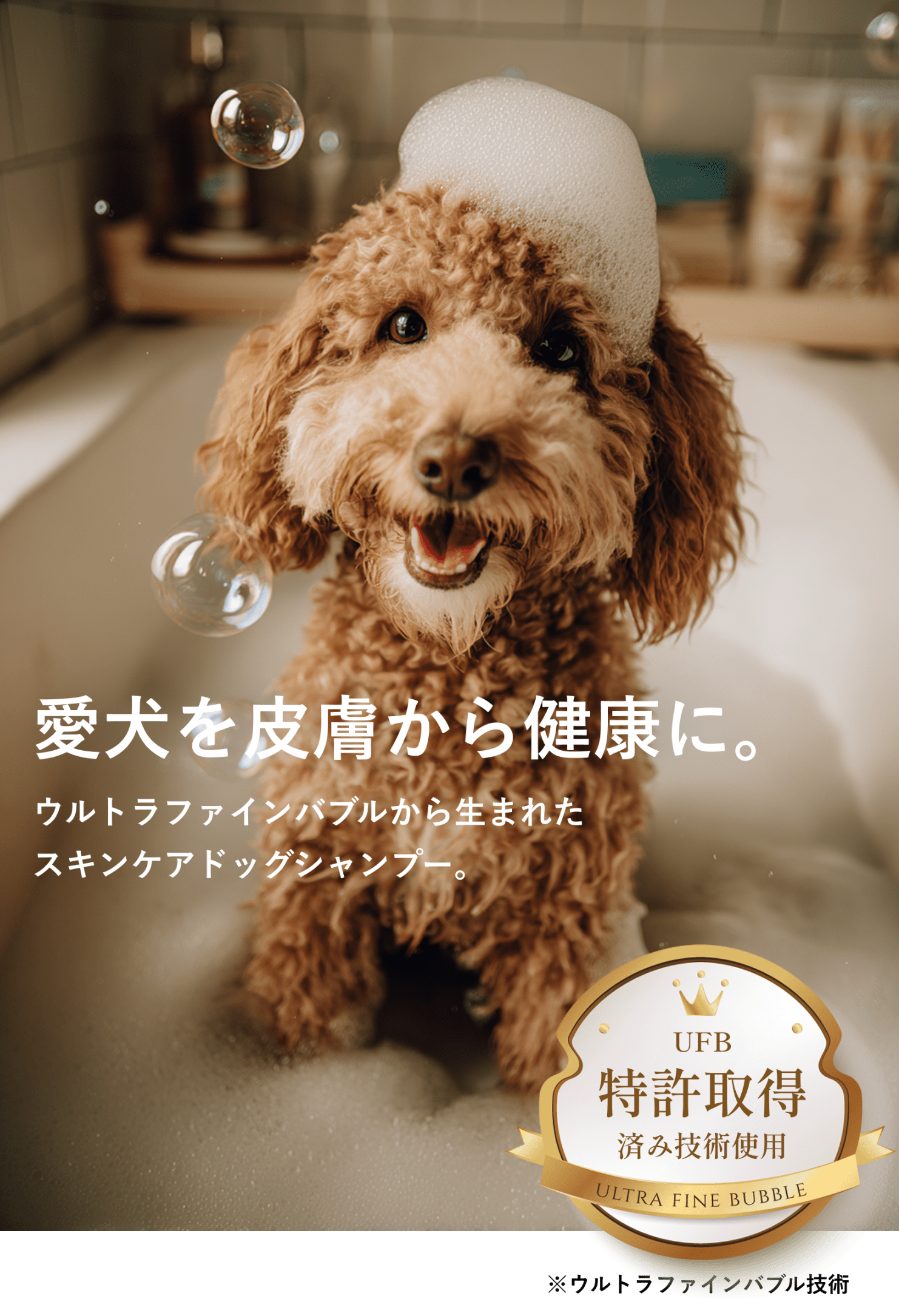 愛犬を皮膚から健康に。ウルトラファインバブルから生まれたスキンケアドッグシャンプー。