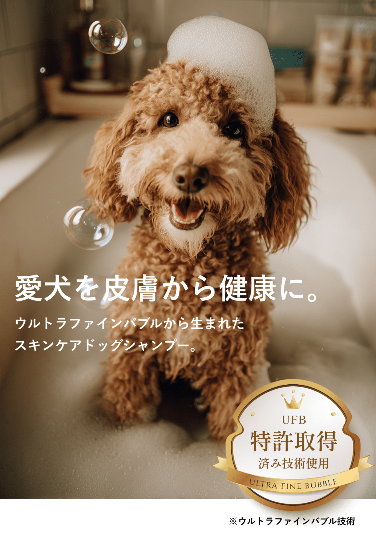 愛犬を皮膚から健康に。ウルトラファインバブルから生まれたスキンケアドッグシャンプー。
