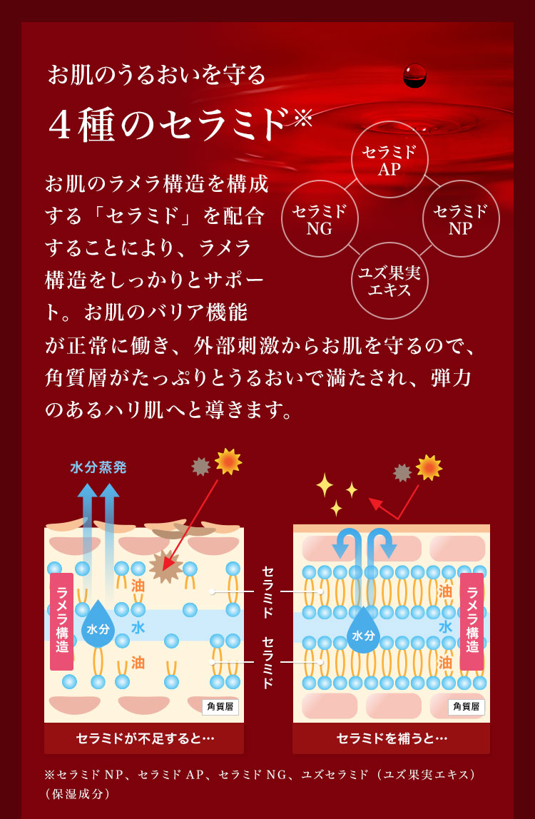 お肌のうるおいを守る　4種のセラミド