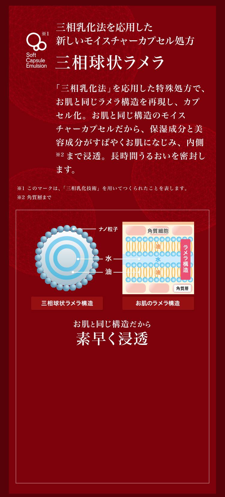 三相乳化法を応用した新しいモイスチャーカプセル処方　三相球状ラメラ