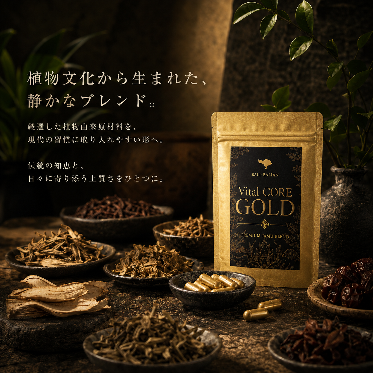 Vital CORE GOLD（バイタルコア・ゴールド）｜Premium Jamu Blend 10粒