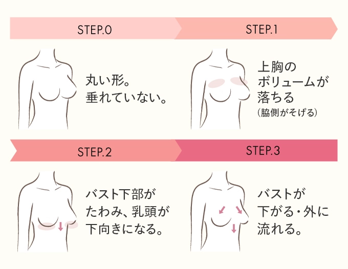 STEP.0 丸い形。垂れていない。 STEP.1 上胸のボリュームが落ちる(脇側がそげる)STEP.2 バスト下部がたわみ、乳頭が下向きになる。 STEP.3 バストが下がる・外に流れる。