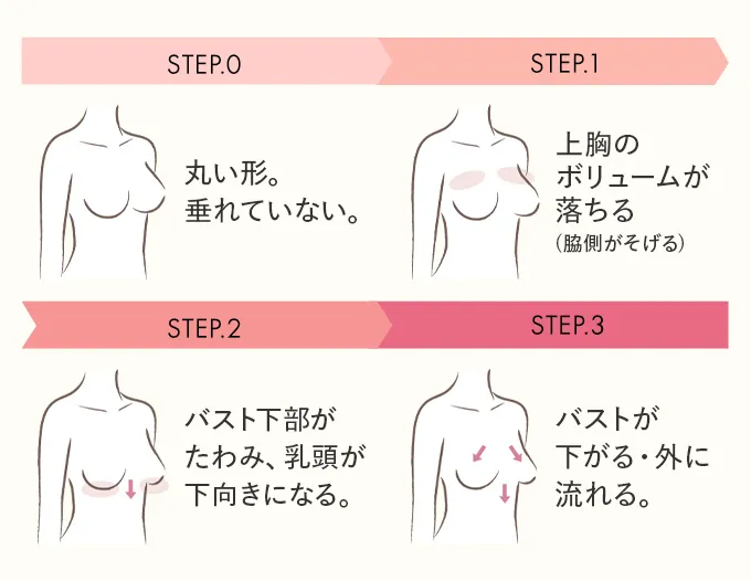 STEP.0 丸い形。垂れていない。 STEP.1 上胸のボリュームが落ちる(脇側がそげる)STEP.2 バスト下部がたわみ、乳頭が下向きになる。 STEP.3 バストが下がる・外に流れる。