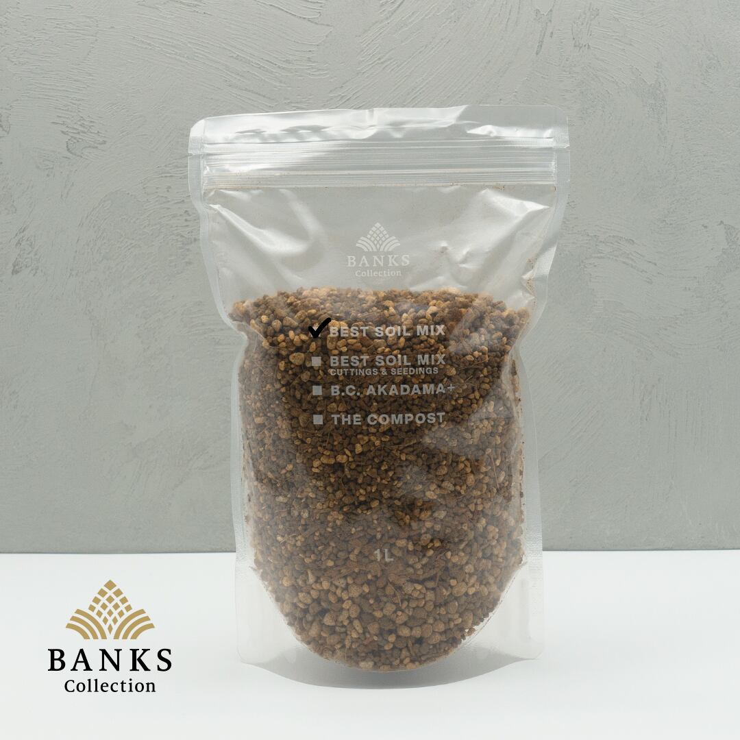 BANKS Collection Official Webshop