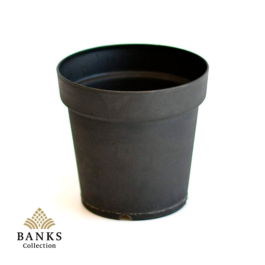 バイオマスポット