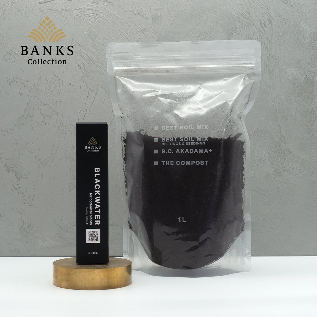 コンボセット (THE COMPOST +BLACKWATER50ml)