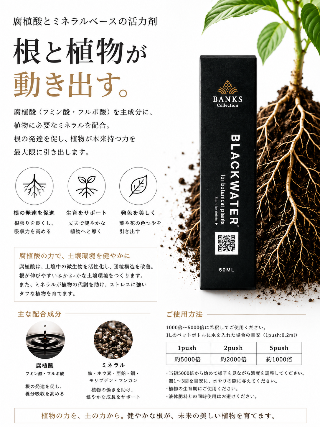 BLACKWATER®50ml