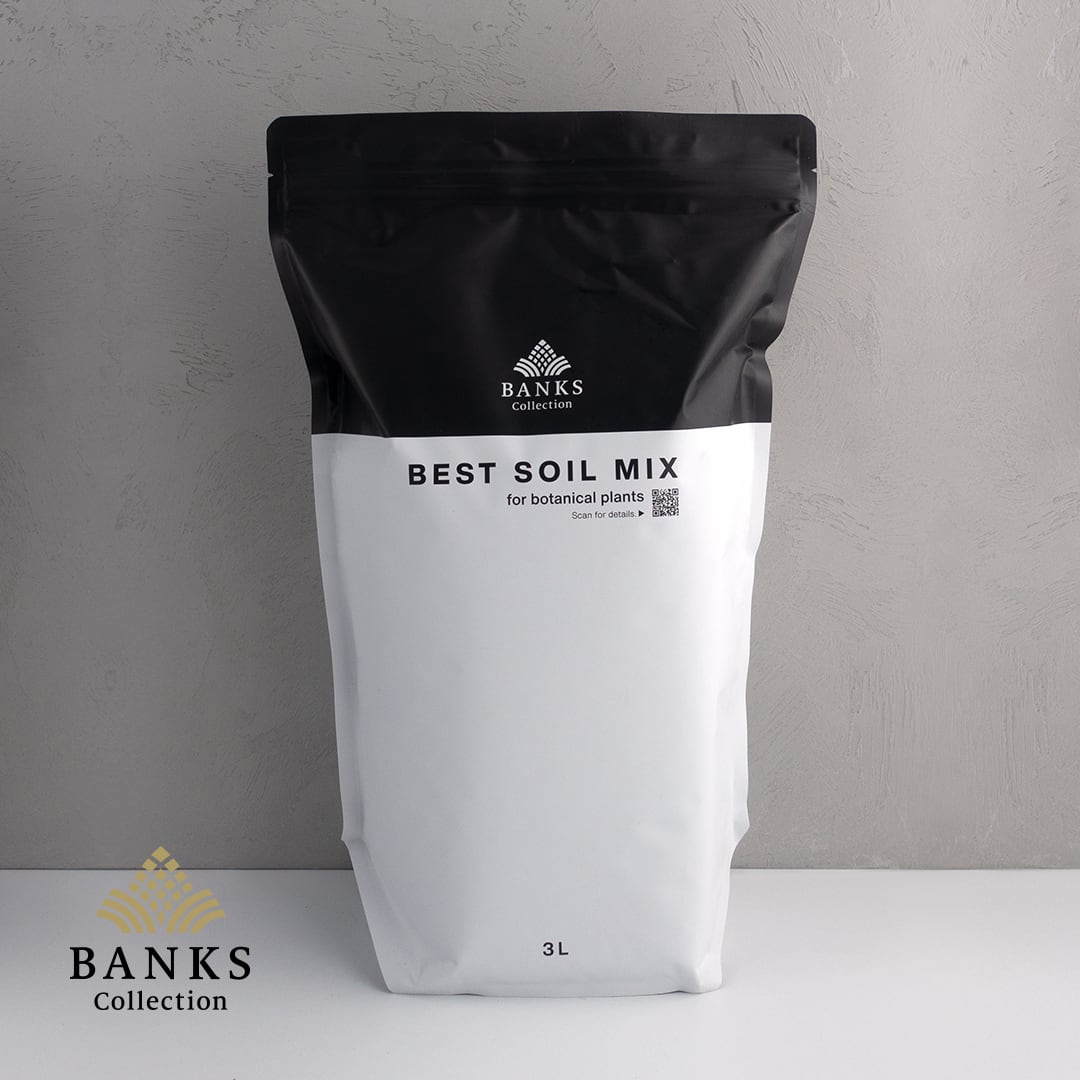 best soil mix (3L)