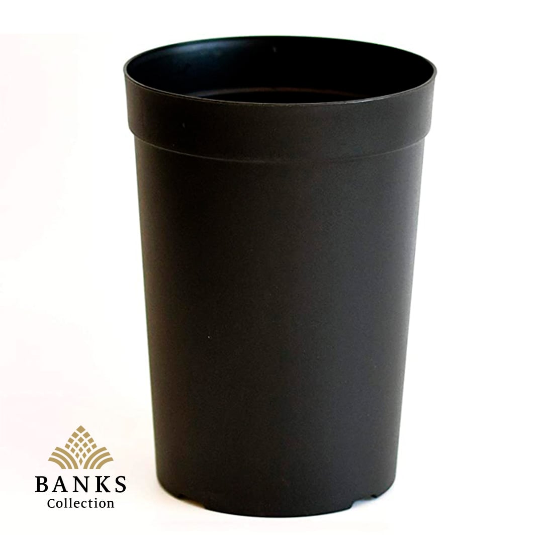 ロングポット 大