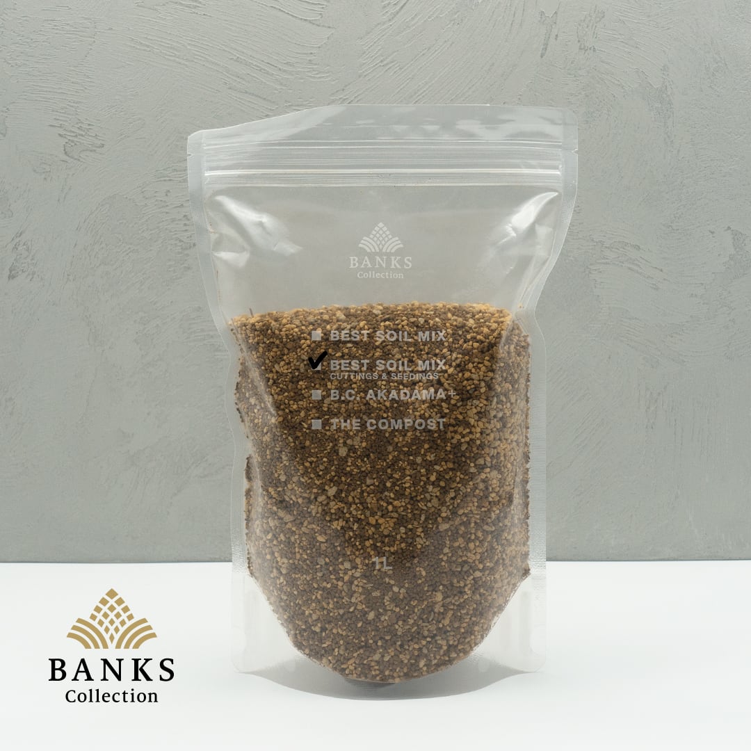 【細粒】 best soil mix  挿木・播種用 (1L)