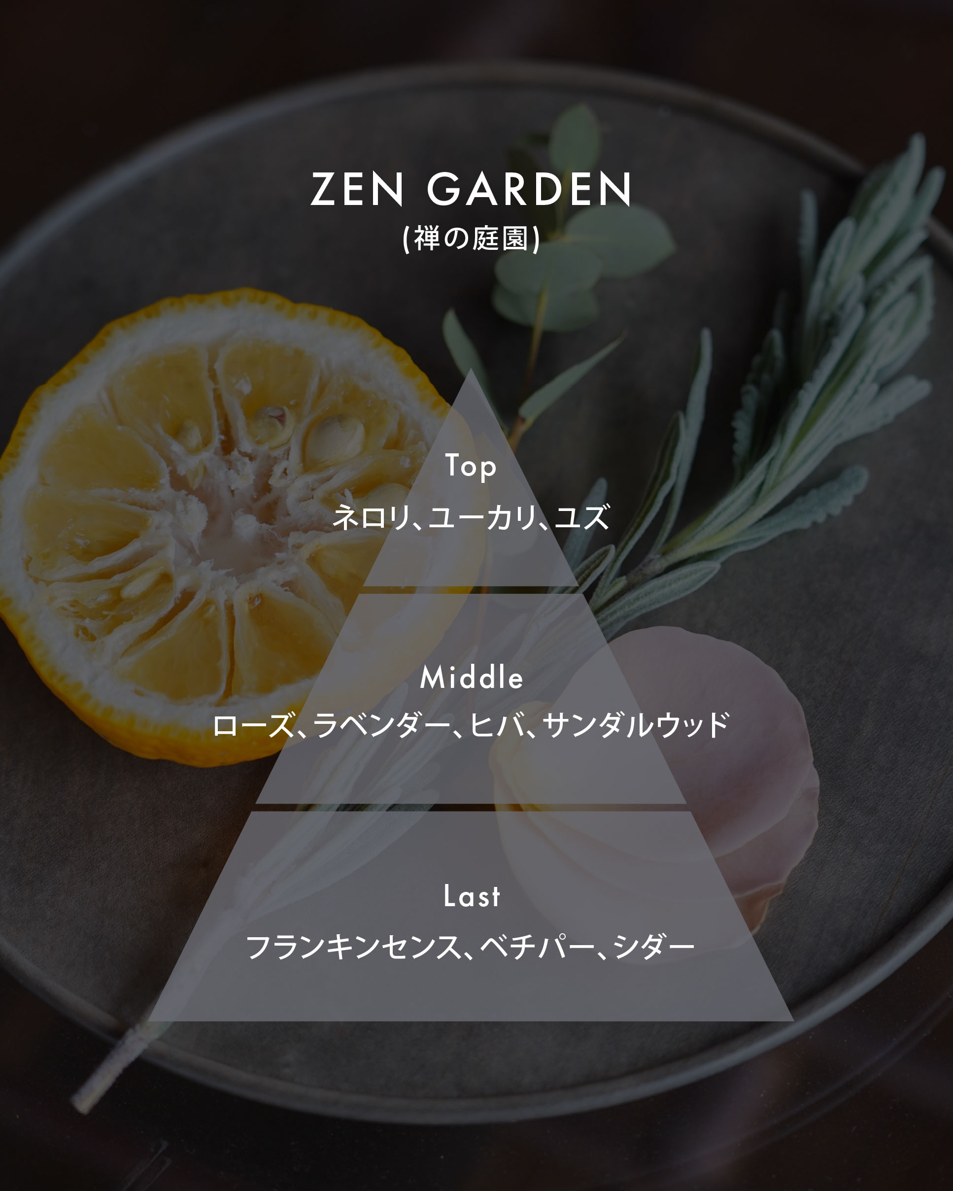 ハンド & ボデイウォッシュ ゼンガーデン 300mL