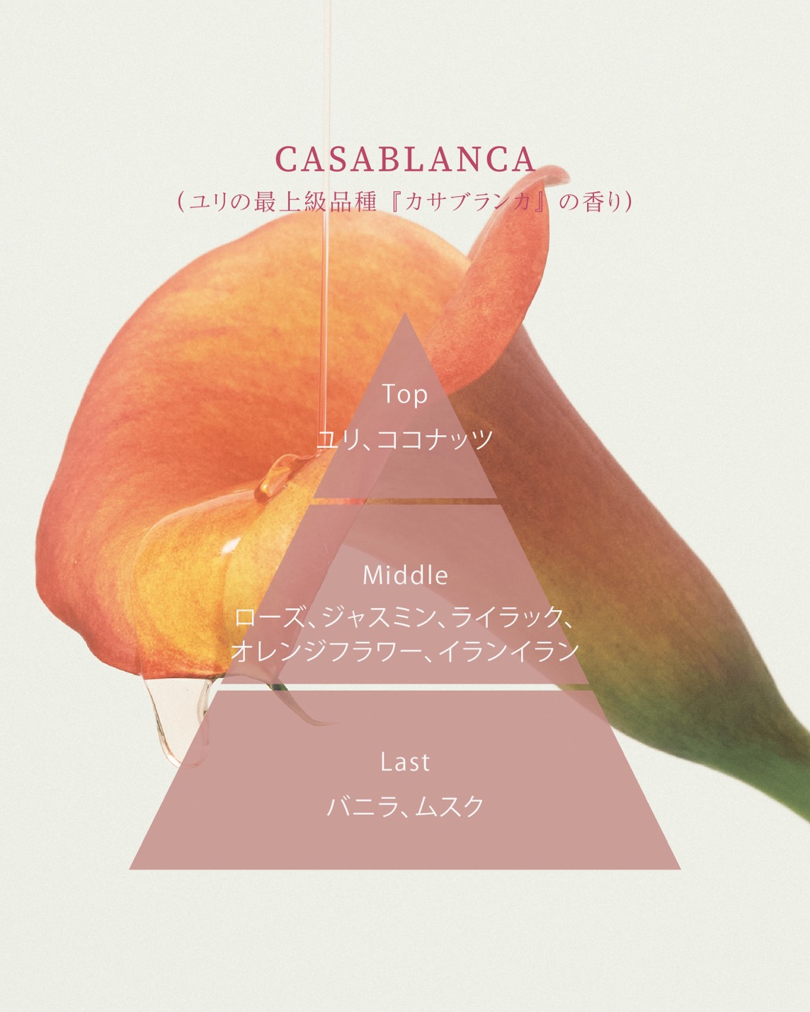 ウォータリーコンディショナー カサブランカ 285g