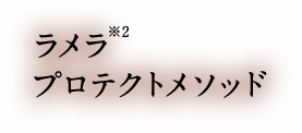 ラメラ※2プロテクトメソッド