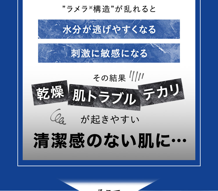 ラメラ※構造が乱れると 水分が逃げやすくなる 刺激に敏感になる その結果 乾燥 肌トラブル テカリ が起きやすい 清潔感のない肌に…