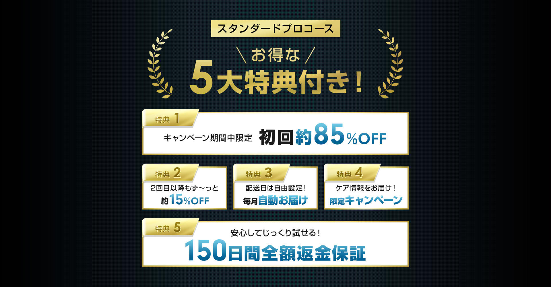 スタンダード定期コース お得な5大特典付き！ 1.キャンペーン期間中限定初回約85%OFF 2.2回目以降もず～っと約15%OFF 3.配送日は自由設定！毎月自動お届け 4.ケア情報をお届け！限定キャンペーン 5.安心してじっくり試せる！150日間全額返金保証