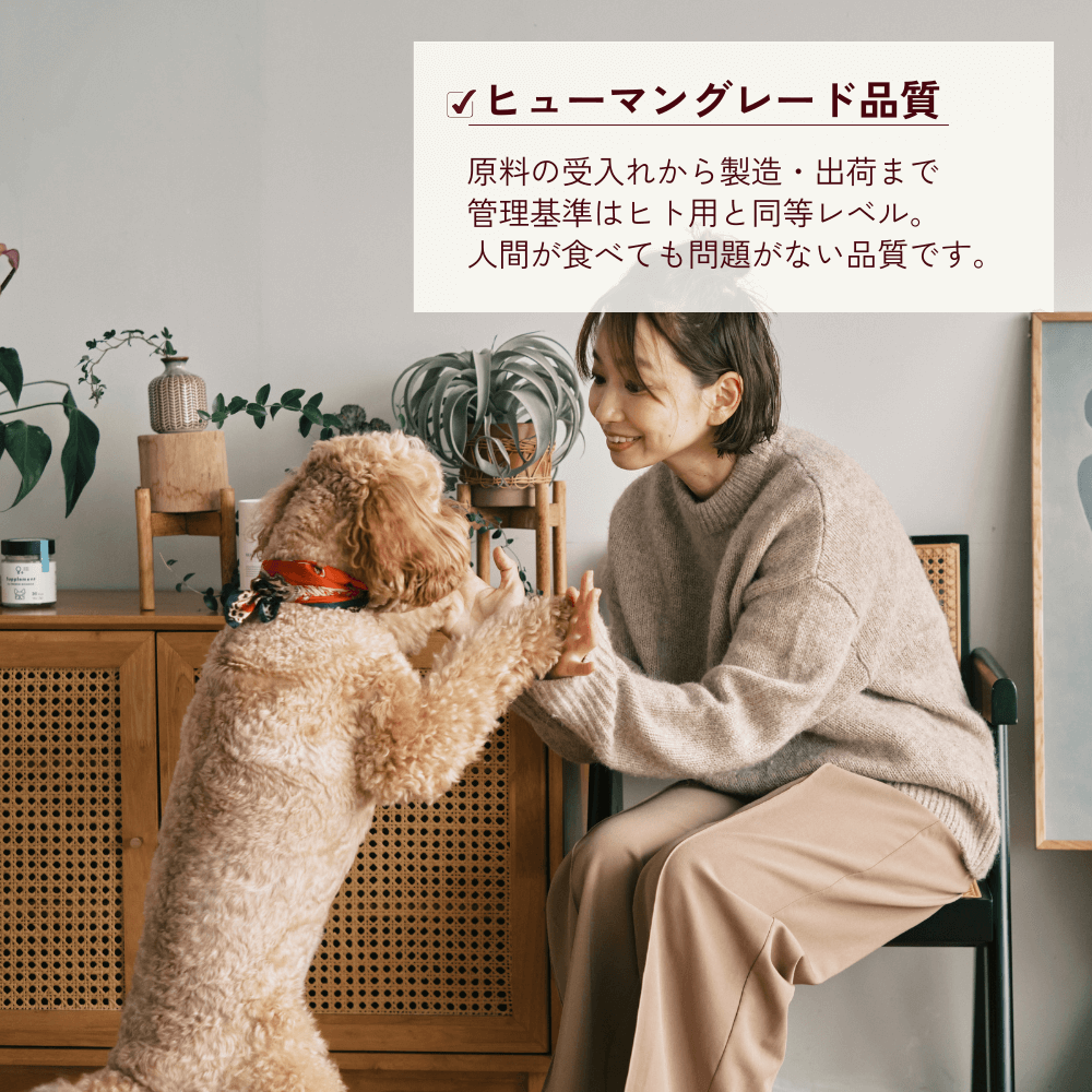 ONE PLUS for トイプードル