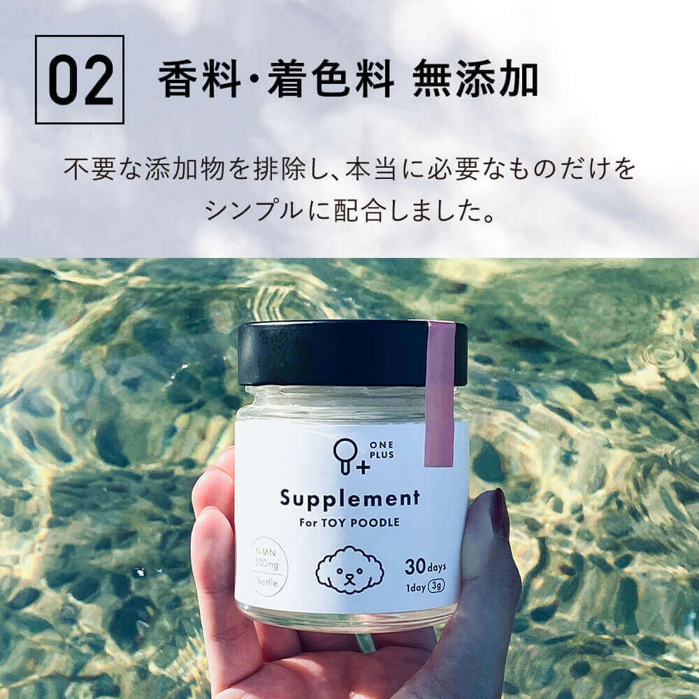 ONE PLUS for ビション・フリーゼ