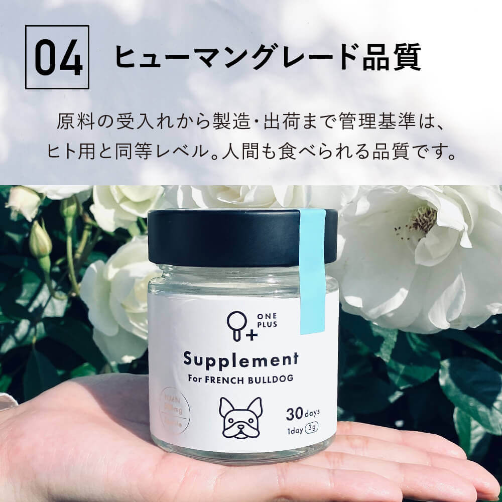 ONE PLUS for ビション・フリーゼ