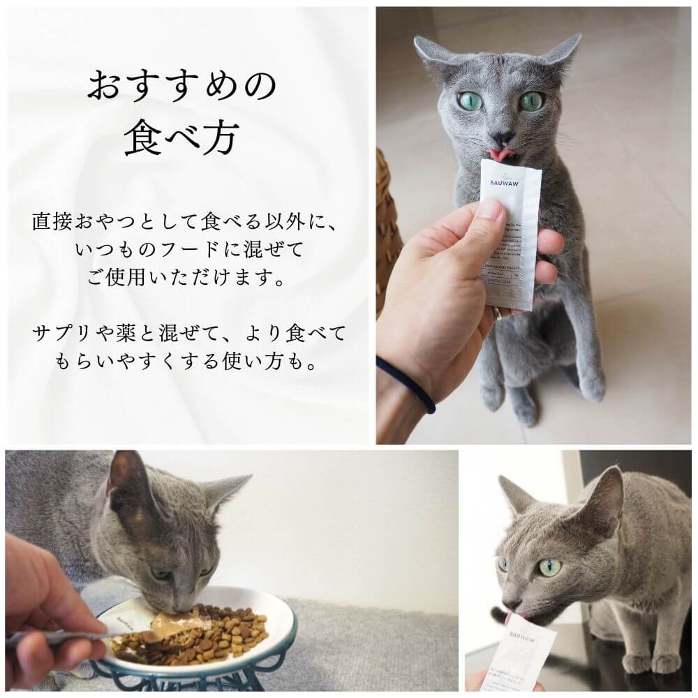 腎臓の健康サポートおやつ