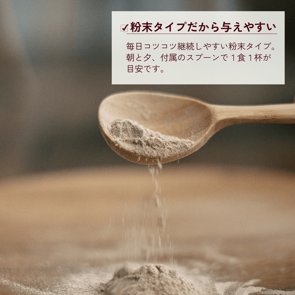 ONE PLUS for トイプードル