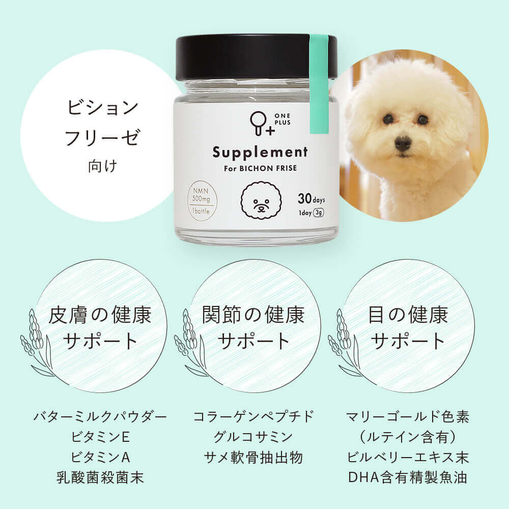 ONE PLUS for ビション・フリーゼ