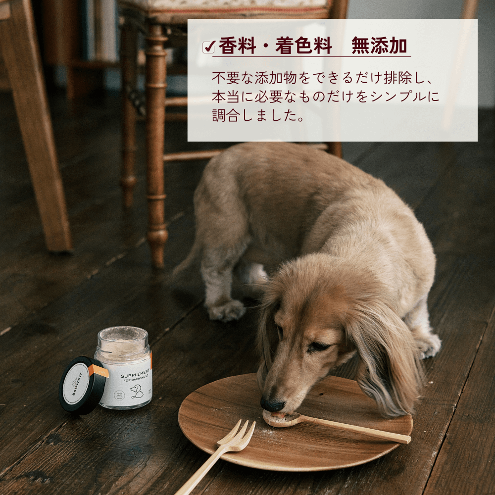 ONE PLUS for トイプードル
