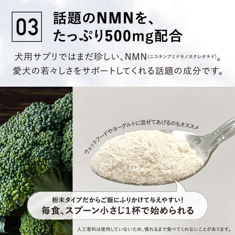 ONE PLUS for ビション・フリーゼ