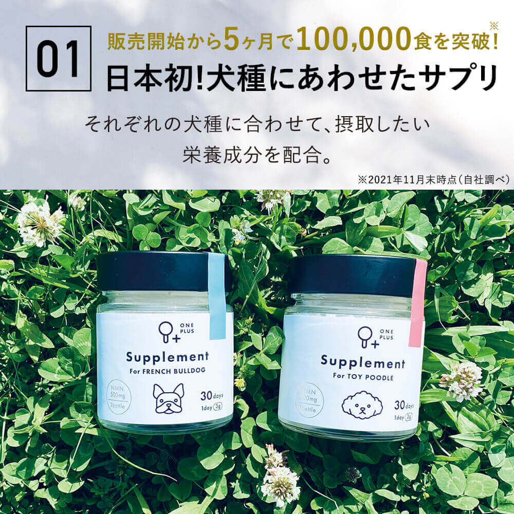 ONE PLUS for ビション・フリーゼ