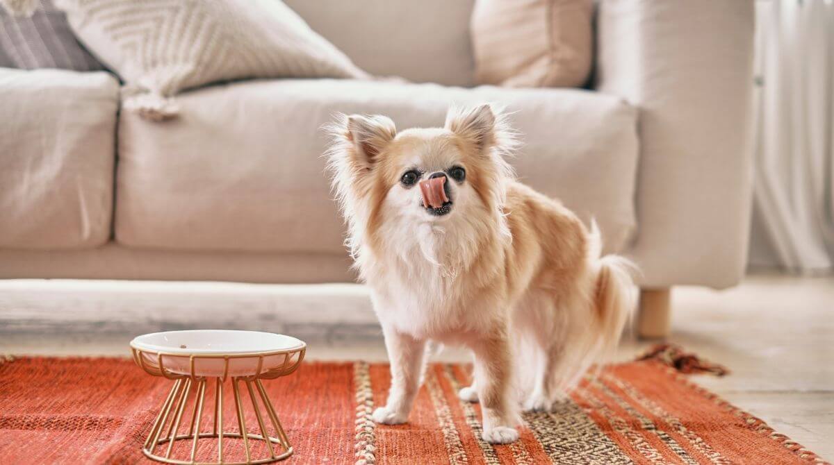 贅沢な品質で特別感を演出
