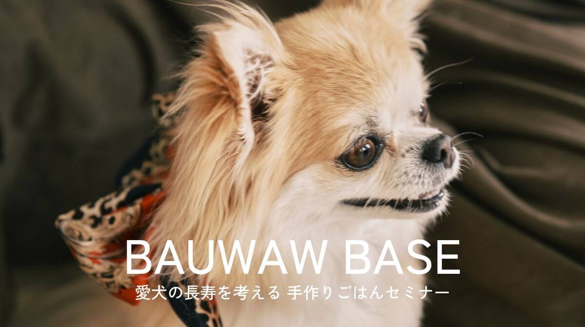 愛犬の長生きを目指した手作りごはんセミナー