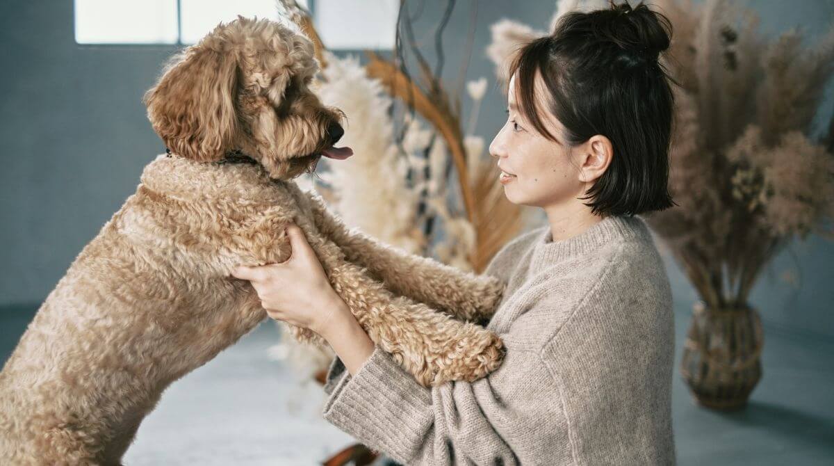 愛犬のための手作りごはんセミナー
