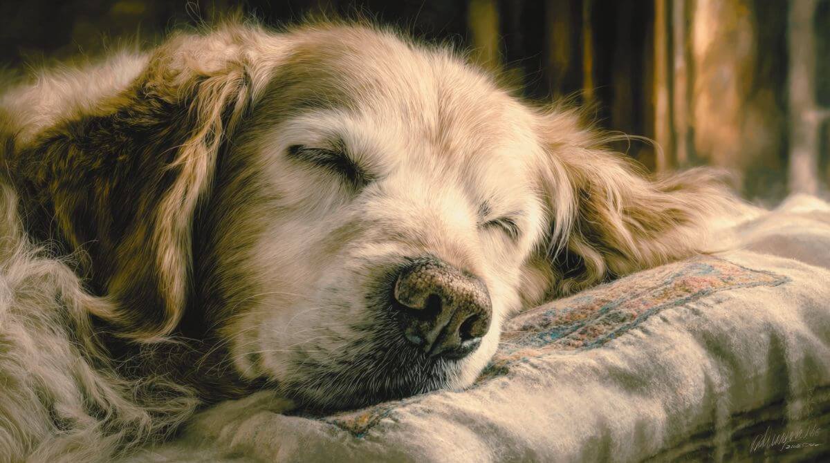 2.注意すべき症状は？対策は？