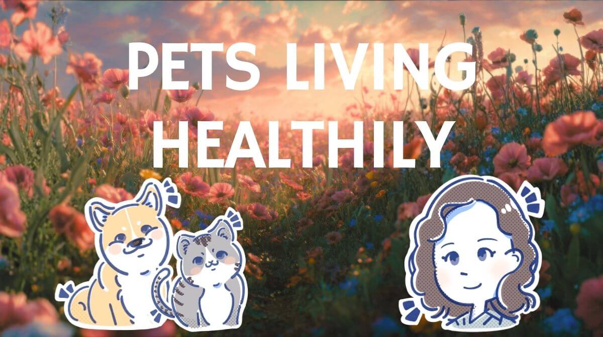 ～冬に多い泌尿器トラブル～尿石症や膀胱炎を防ぐには?