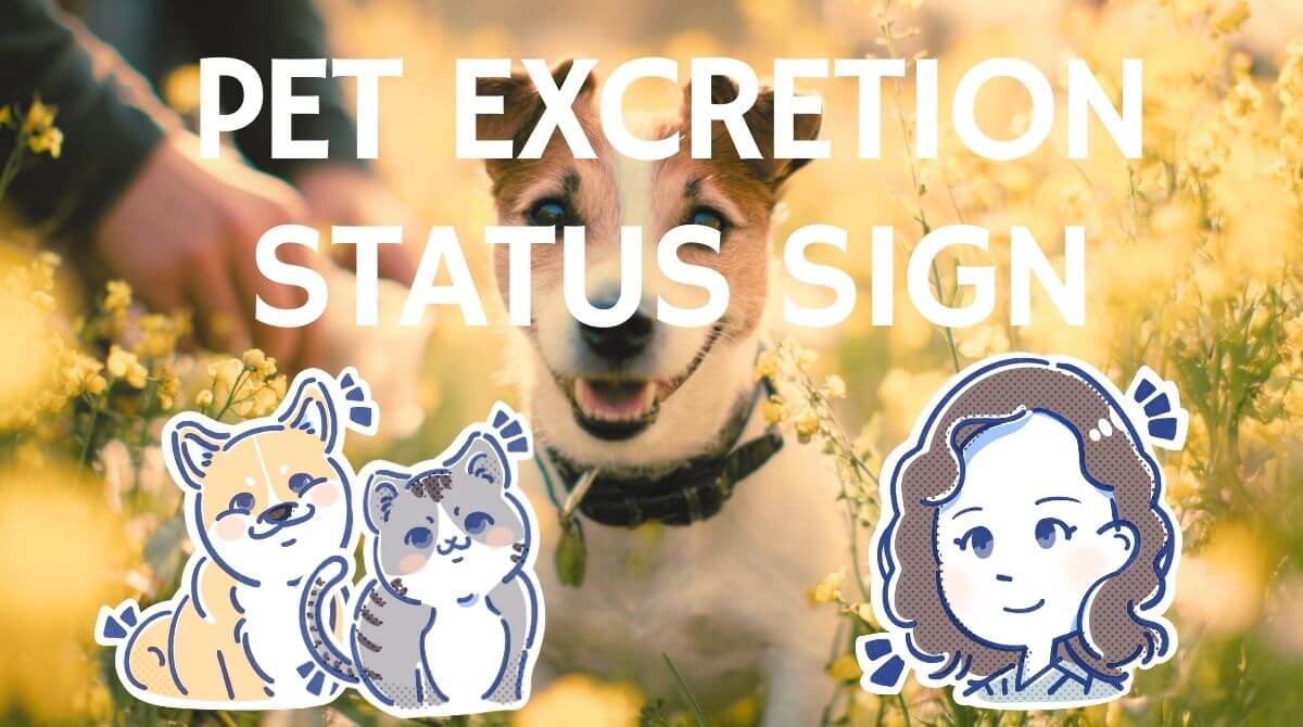 獣医師ミサが教える！見逃さないで！愛犬・愛猫のうんちのサイン 