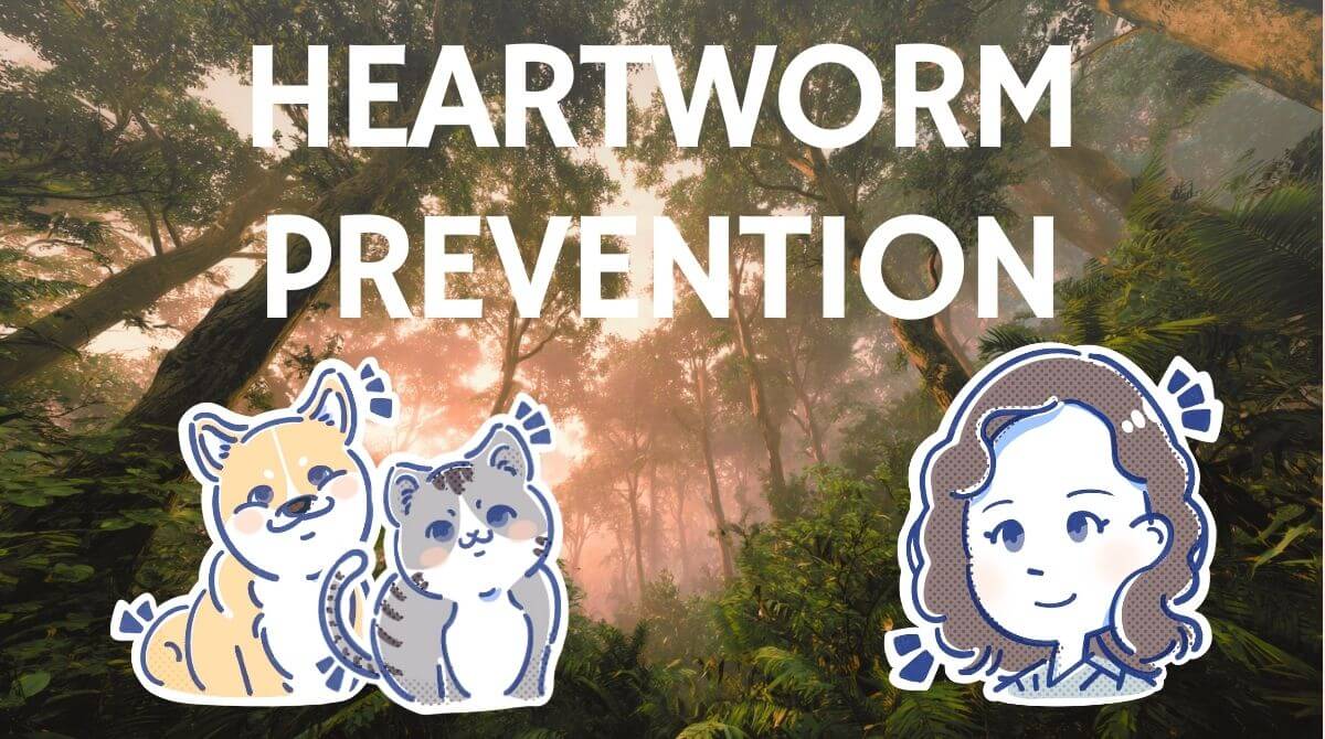 獣医師ミサが教える！愛犬・愛猫のフィラリア予防を詳しく解説  