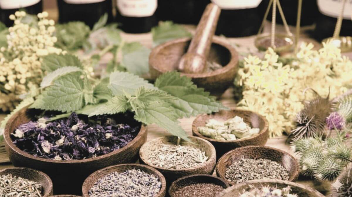 3.マメ知識　麻酔の歴史  