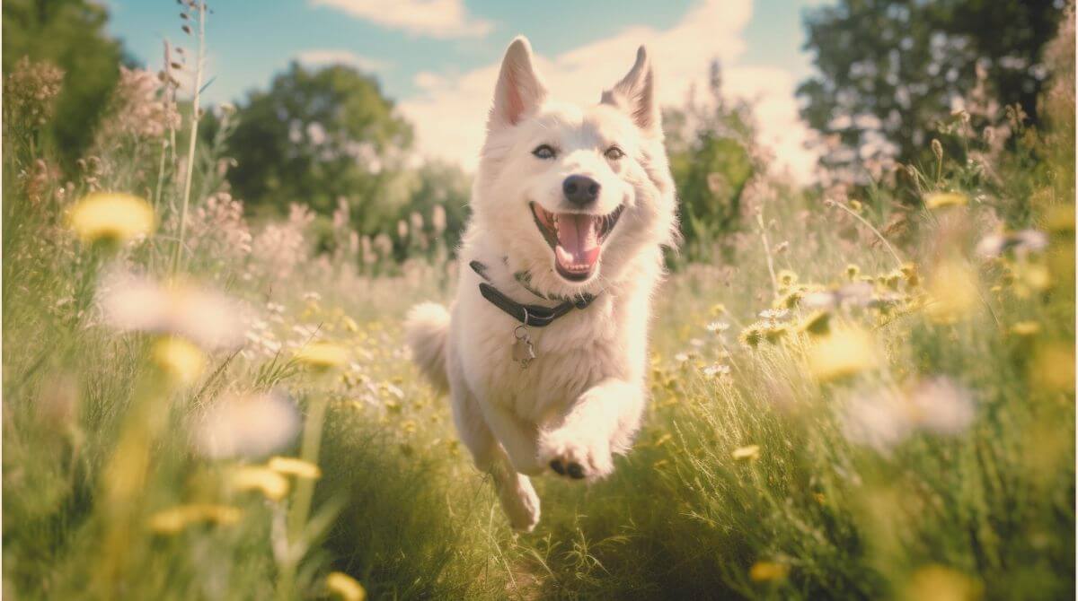 3.高血圧の予防方法