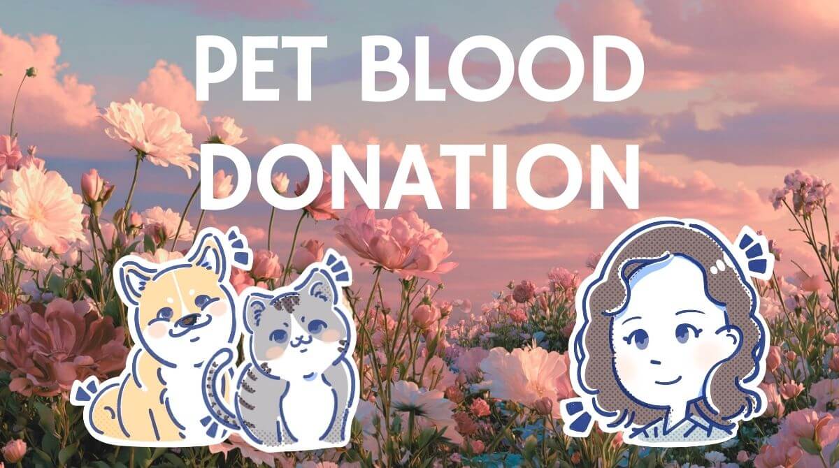 獣医師ミサが教える！愛犬・愛猫の輸血の目的や方法について詳しく解説 