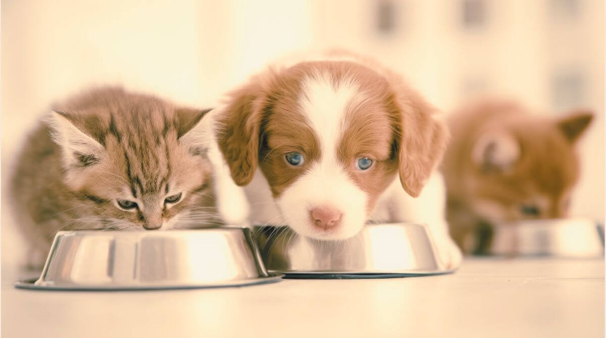 3.良いうんち（便）を維持するには