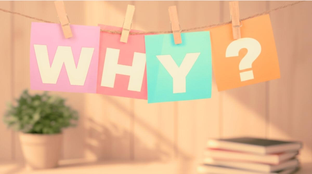 1.わんちゃんが吐いてしまう理由は？  