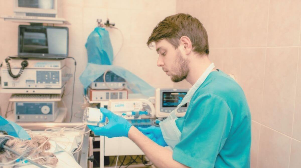 1.鎮静や麻酔の種類  